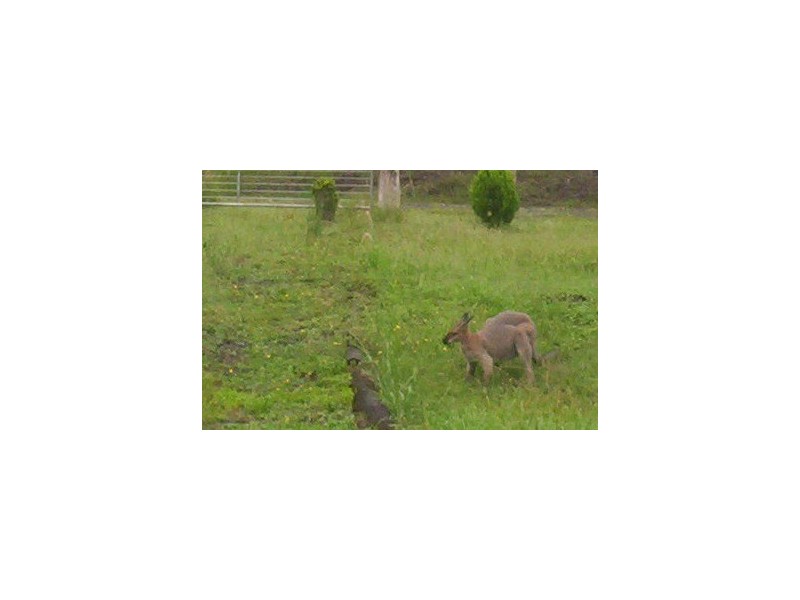 30 Te Araowa Drive, North Casino NSW 2470