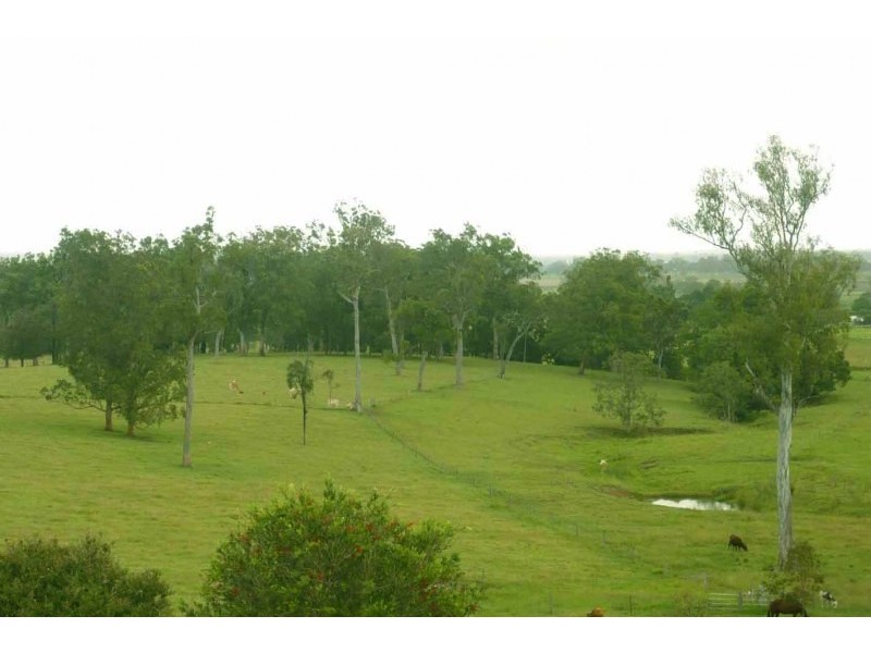 105 Vidlers Road, Spring Grove NSW 2470
