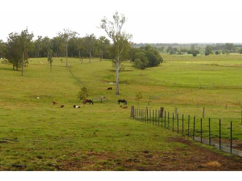 105 Vidlers Road, Spring Grove NSW 2470