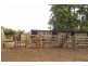 105 Vidlers Road, Spring Grove NSW 2470