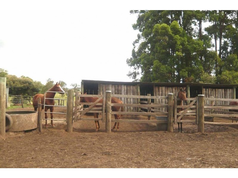 105 Vidlers Road, Spring Grove NSW 2470