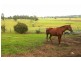 105 Vidlers Road, Spring Grove NSW 2470