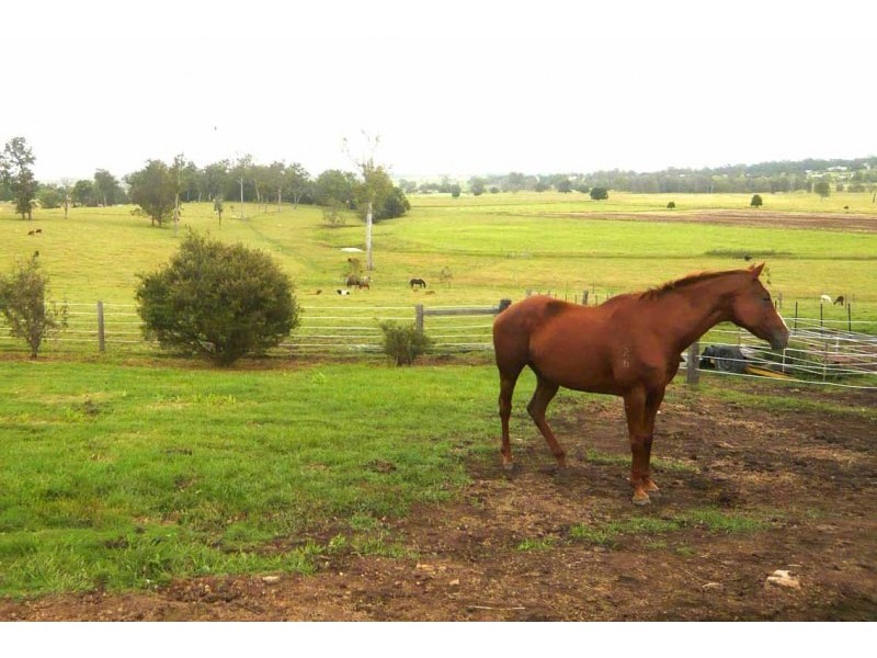 105 Vidlers Road, Spring Grove NSW 2470