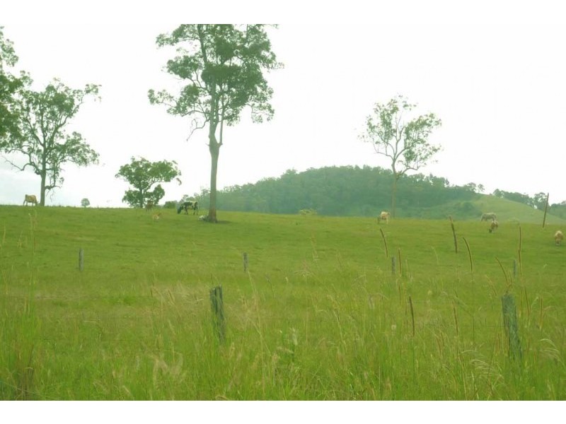 105 Vidlers Road, Spring Grove NSW 2470