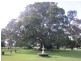 130 T R Benns Road, Casino NSW 2470