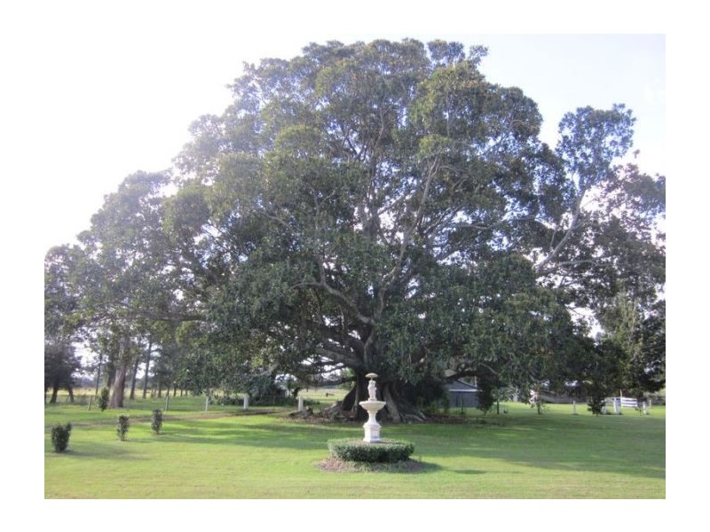 130 T R Benns Road, Casino NSW 2470