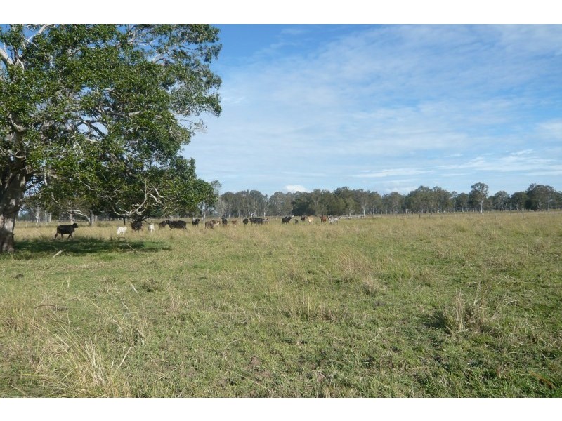 130 T R Benns Road, Casino NSW 2470