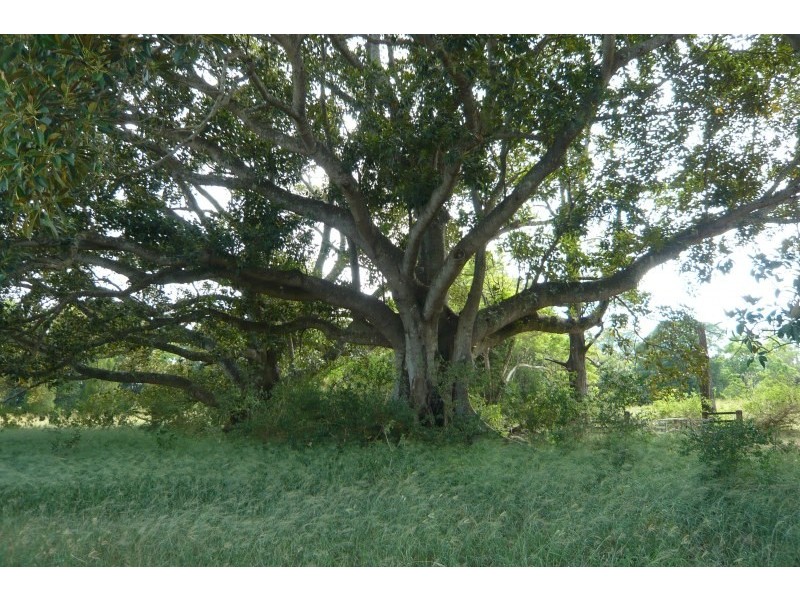 Lot 33 Fogwells Road, Casino NSW 2470