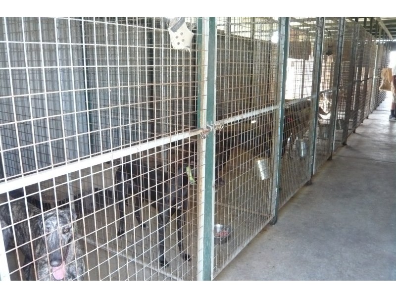 160 Rifle Range Road, Casino NSW 2470