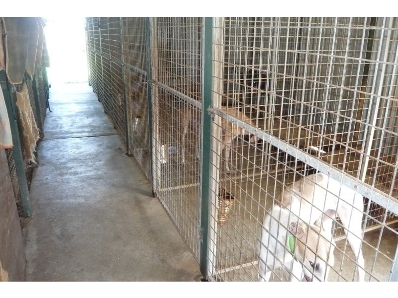 160 Rifle Range Road, Casino NSW 2470