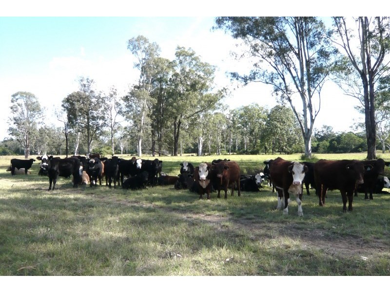 160 Busbys Flat Road, Casino NSW 2470