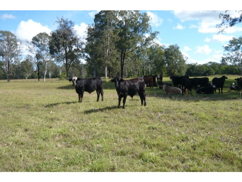 160 Busbys Flat Road, Casino NSW 2470