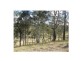 Lot 2, 5 Carey Street, Bonalbo NSW 2469