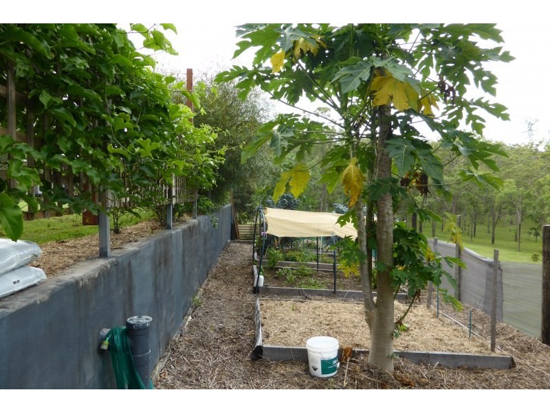 1442 Dyraaba Road, Dyraaba NSW 2470