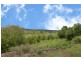657 Old Dyraaba Road, Casino NSW 2470