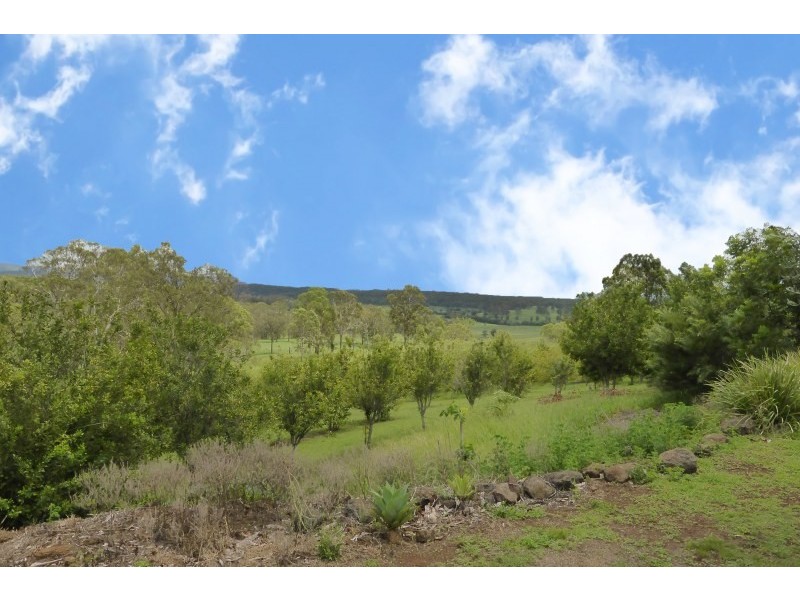 657 Old Dyraaba Road, Casino NSW 2470