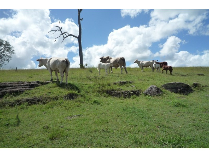 1130 Dyraaba Road, Casino NSW 2470