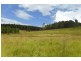 2 Old Lawrence Road, Mallanganee NSW 2469