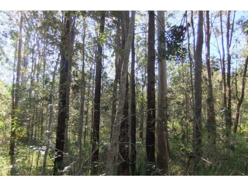 855 Benns Road, Casino NSW 2470