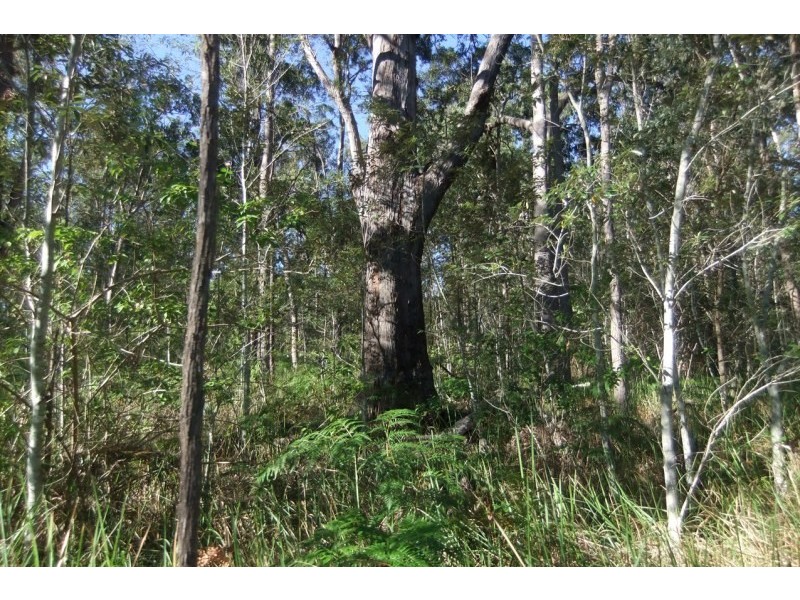 855 Benns Road, Casino NSW 2470