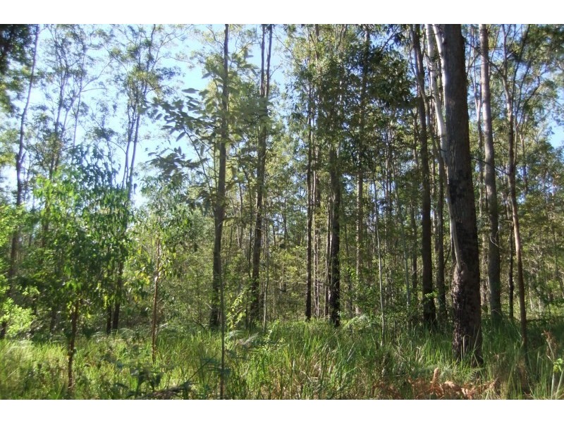 855 Benns Road, Casino NSW 2470