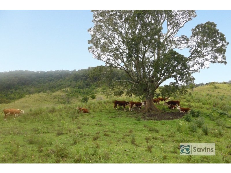 423A Gores Road, Casino NSW 2470