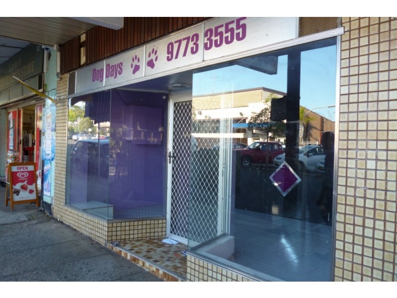 40 Anderson Avenue, Panania NSW 2213