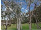 829D Henry Lawson Drive, Picnic Point NSW 2213