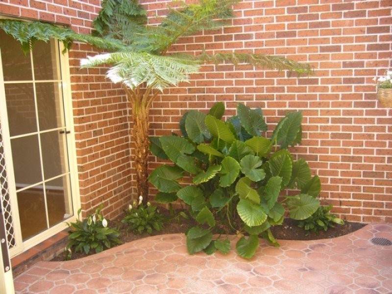 8/135 Lambeth Street, Panania NSW 2213