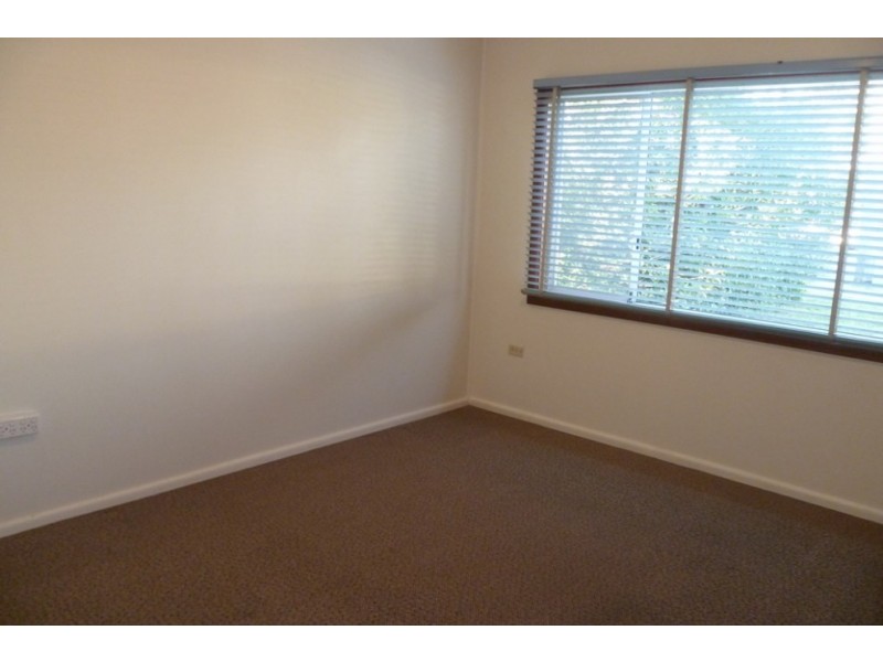 3 Wall Avenue, Panania NSW 2213