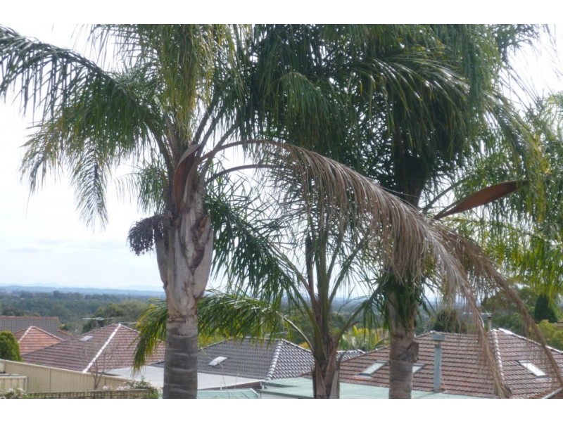 6/130 Tower Street, Panania NSW 2213