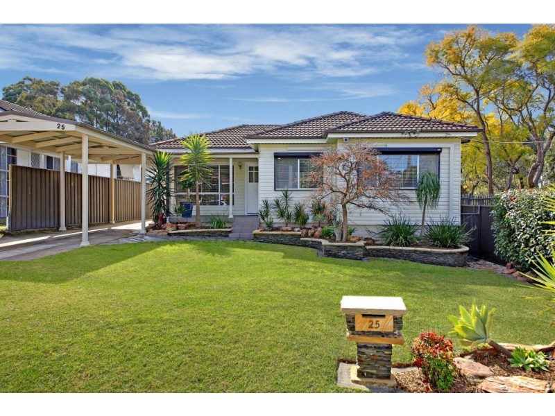 25 Thomas Street, Picnic Point NSW 2213