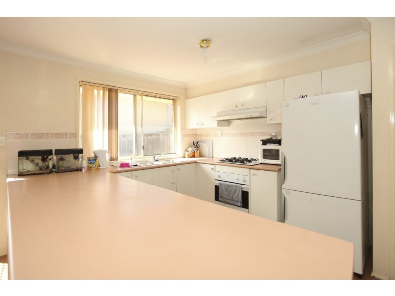 113 The Krall Drive, Blair Athol NSW 2560