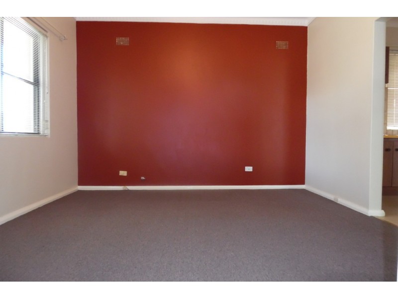 109 Tower Street, Panania NSW 2213