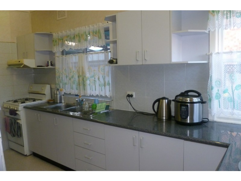 17 Sandra Avenue, Panania NSW 2213