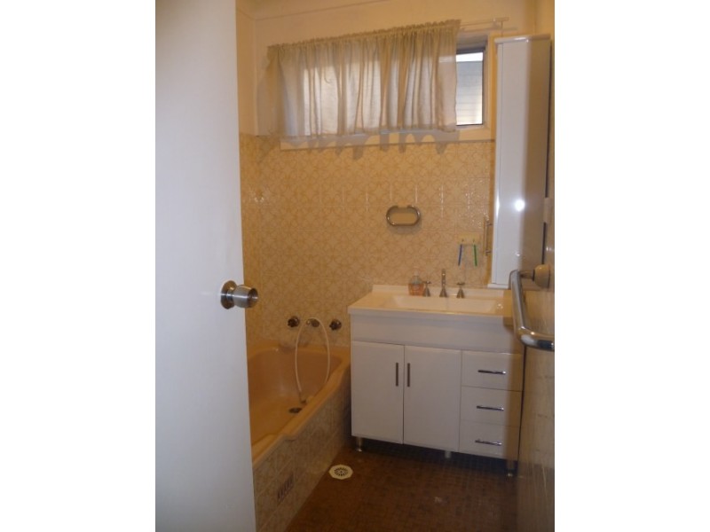 17 Sandra Avenue, Panania NSW 2213