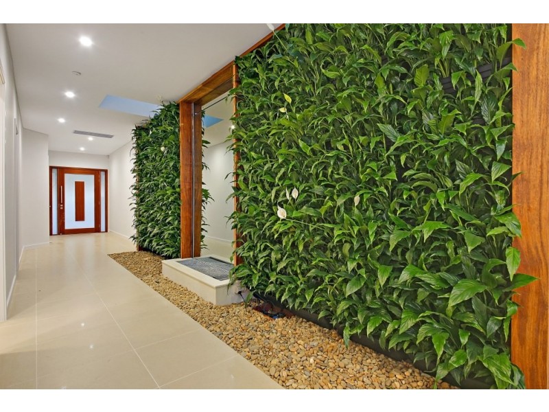 86 Ely Street, Revesby NSW 2212