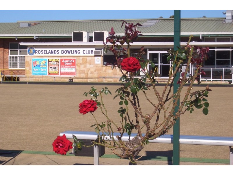 55a Rogers Street, Roselands NSW 2196