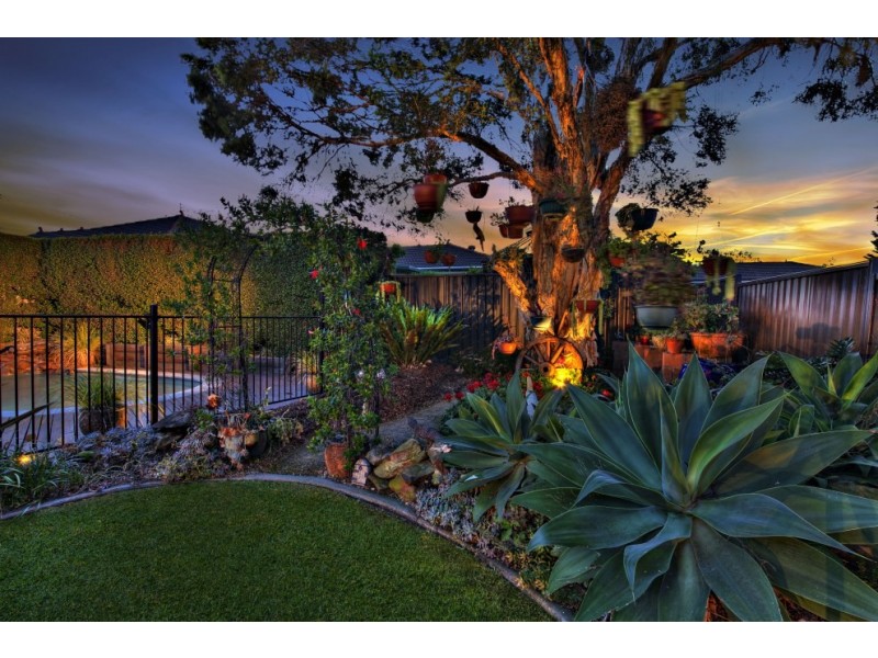 82 Vega Street, Revesby NSW 2212