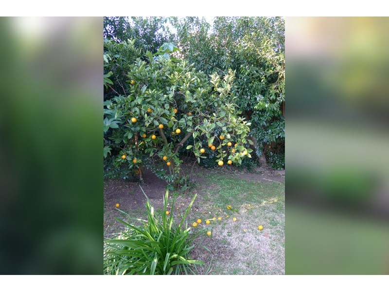 79 Picnic Point Road, Panania NSW 2213