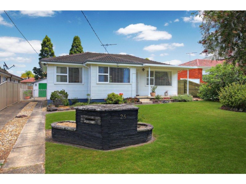 25 Mae Crescent, Panania NSW 2213