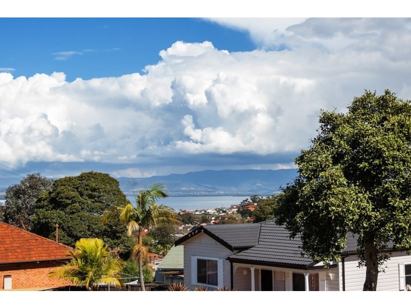 38 Third Avenue North, Warrawong NSW 2502