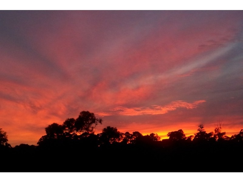 38 Branch Avenue, Figtree NSW 2525