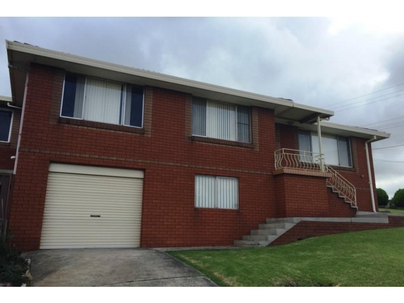 111 Weringa Avenue, Lake Heights NSW 2502