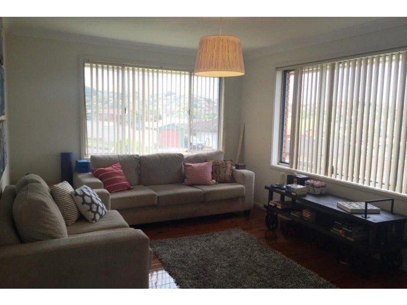 111 Weringa Avenue, Lake Heights NSW 2502