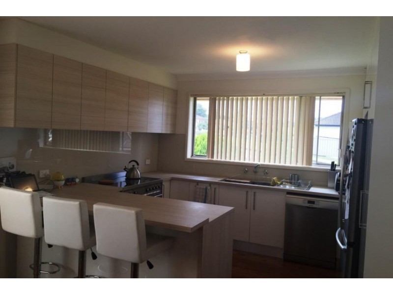 111 Weringa Avenue, Lake Heights NSW 2502