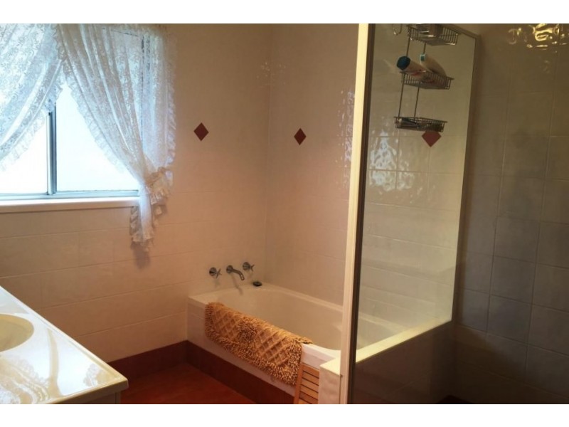 111 Weringa Avenue, Lake Heights NSW 2502