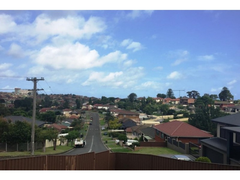 111 Weringa Avenue, Lake Heights NSW 2502