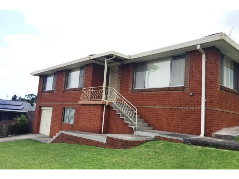 111 Weringa Avenue, Lake Heights NSW 2502