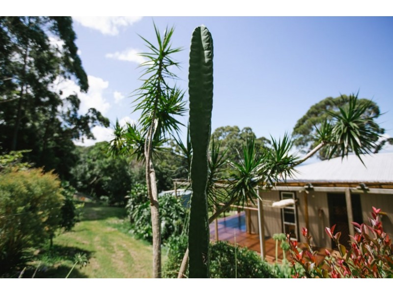 18 Cokeworks Road, Coledale NSW 2515